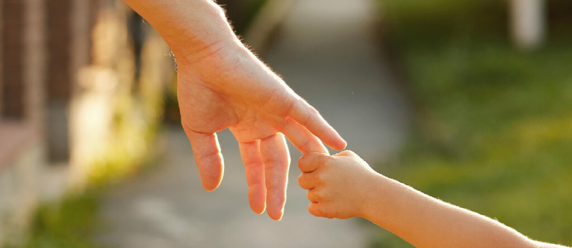 how Florida Child Custody Works img