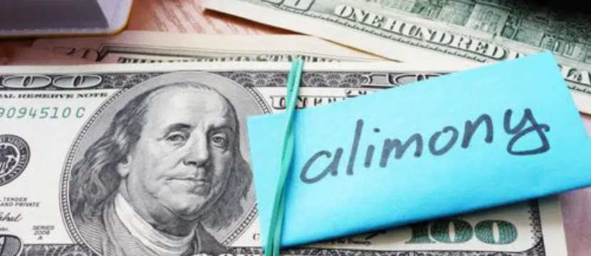 From Marriage to Finances_ The Impact of Alimony on Your Future img