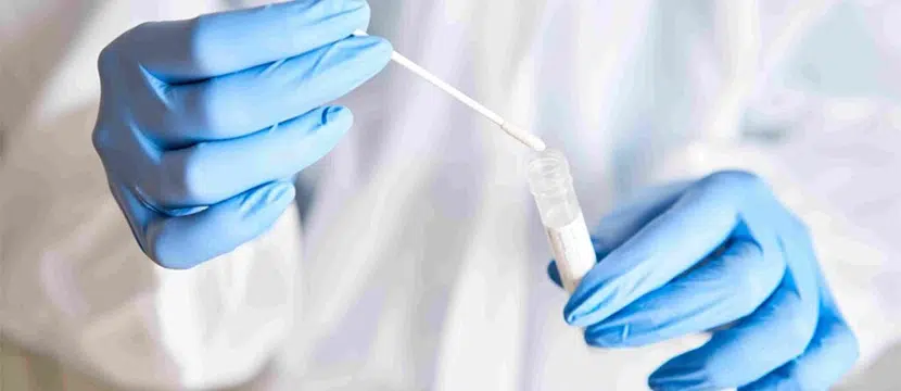Establishing Paternity: How a Jacksonville Paternity Lawyer Can Help