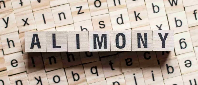 Understanding the Types of Alimony Available in a Florida Divorce