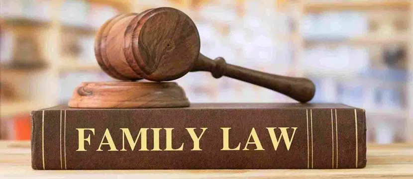 Understanding Florida's New Family Laws and How They May Impact Your Case