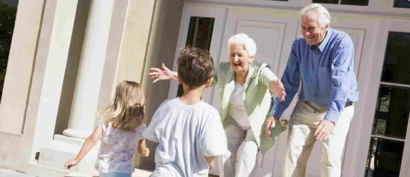 Grandparents’ Rights in Florida: Seeking Visitation and Custody img
