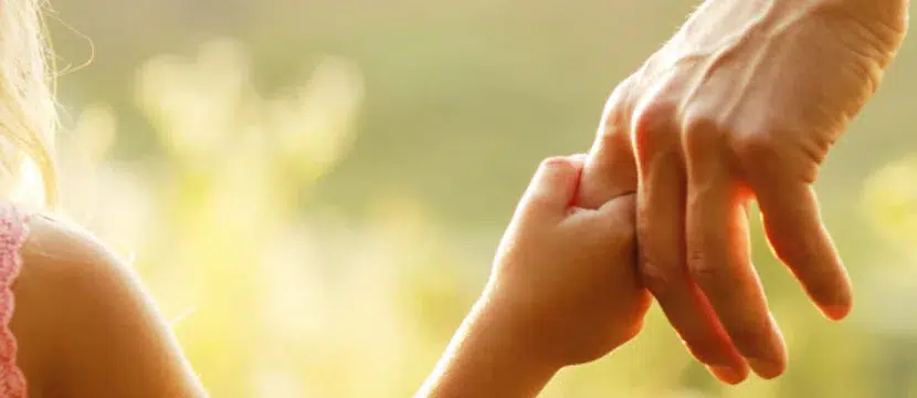 child custody timesharing lawyer img